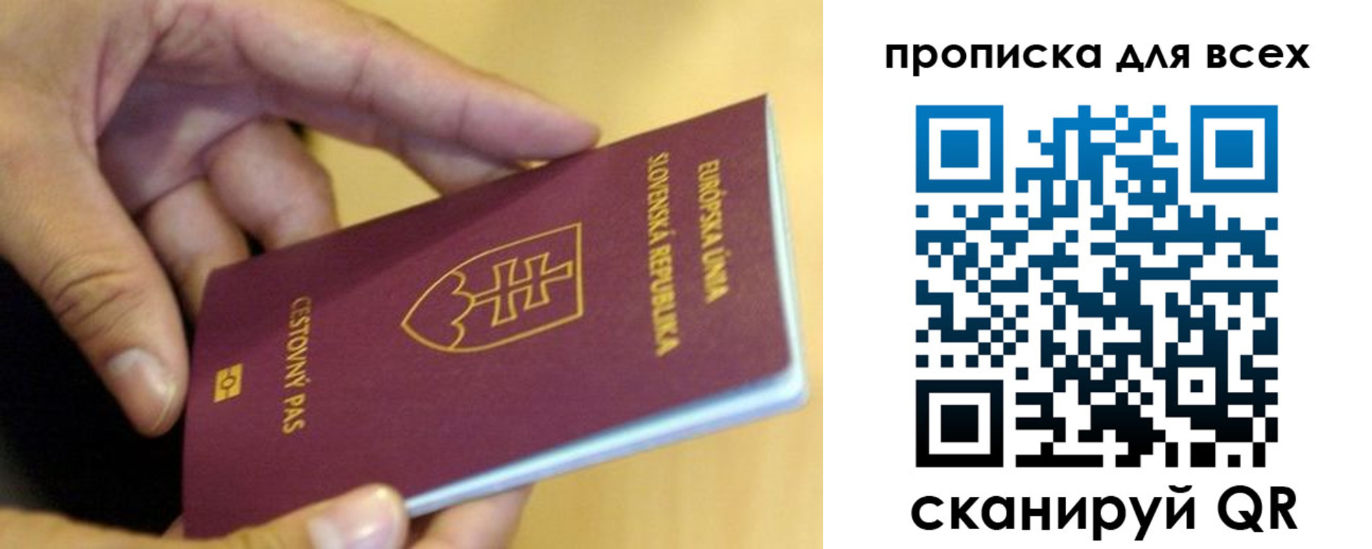 прописка паспорт в Палласовке